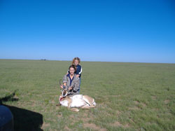 Trails End, kansas pheasant hunting, New Mexico Elk, New Mexico Antelope, Elk, Anteople, New Mexico hunting,upland game birds, guided hunt packages, trips, quail, chukar, guns, dogs, lodging, Dodge City, ks, Kansas, Kansas Hunting, pheasant, pheasant hunting, chukar, chukar hunting, bird, birds, bird dogs, German shorthairs,German wirehair, dog hunting, quail, quail hunting, ringneck, rooster, hen, hunting lodge, hunting service, hunting services